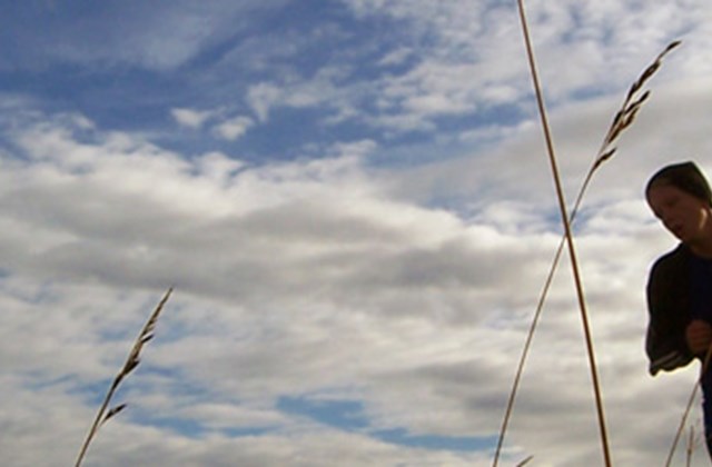 Starfsdagur 11. janúar