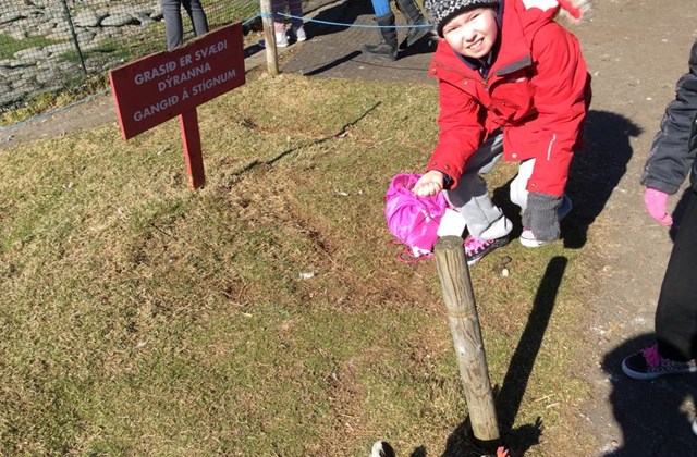 5. bekkur í Fjölskyldu- og húsdýragarðinn