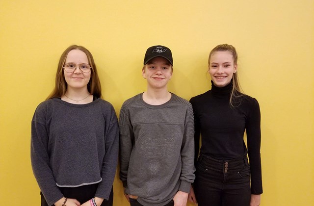 Stærðfræðikeppni grunnskólanna