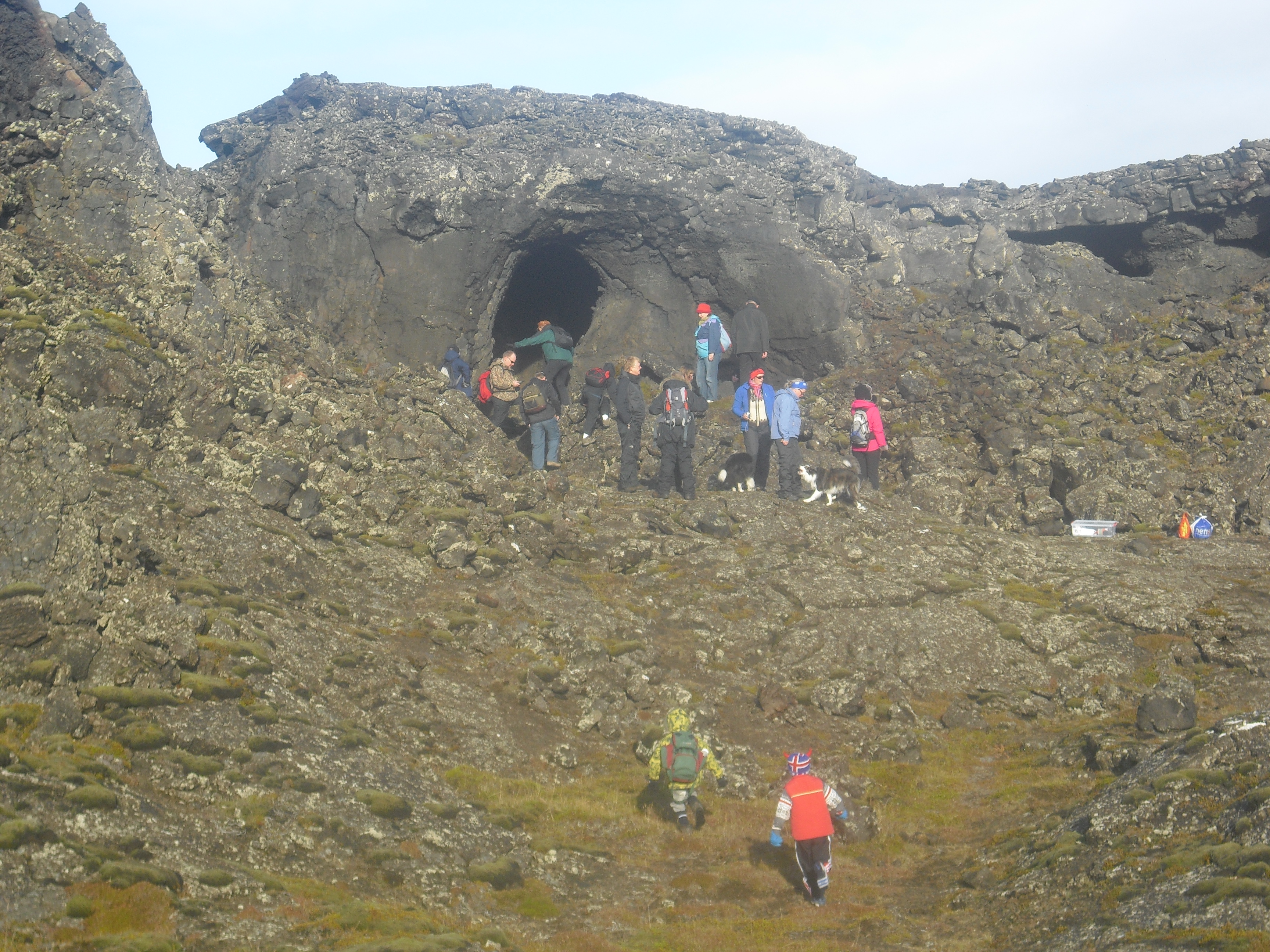 Heilsuvika Reykjanesbæjar