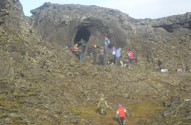 Heilsuvika Reykjanesbæjar