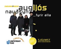 Endurskinsmerki eru ljós í myrkri! 