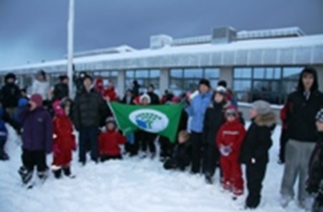 Afhending Grænfána