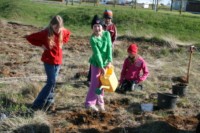 Gróðursettning hjá 4.-5.bekk