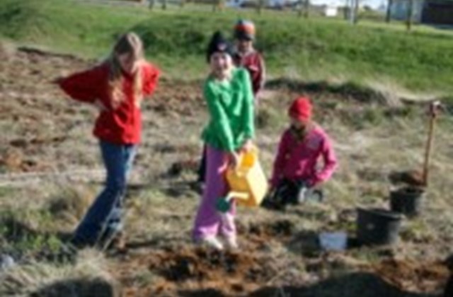 Gróðursettning hjá 4.-5.bekk