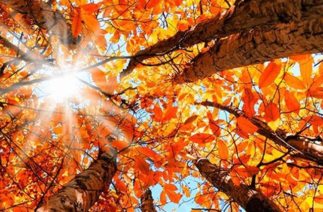 9. bekkur lokið sóttkví - allir neikvæðir