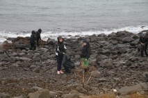 Hreinsuðu rusl af ströndinni í Njarðvík