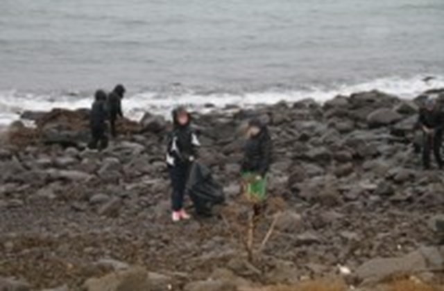 Hreinsuðu rusl af ströndinni í Njarðvík