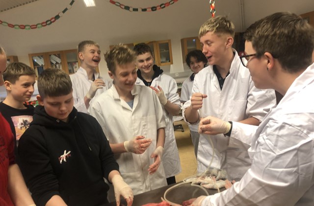 Krufning hjá 9. bekk