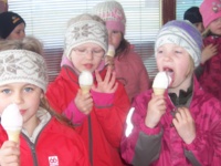 Ísferð Akurskjóls