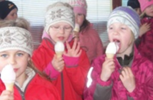 Ísferð Akurskjóls