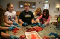 Krufning á svíni hjá 6-7 bekk