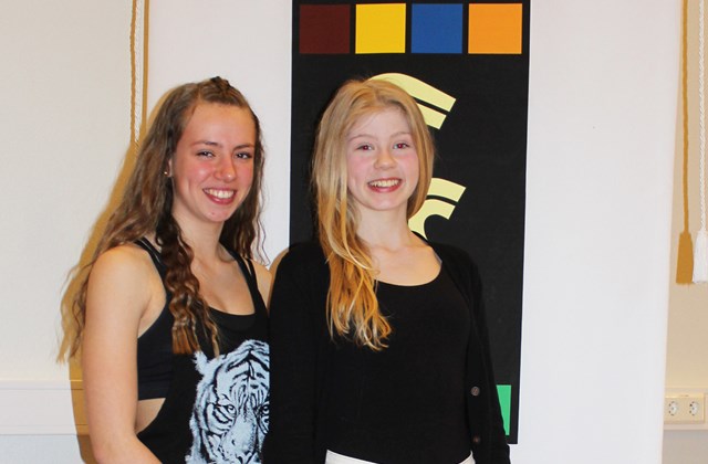 Góður árangur í stærðfræðikeppni grunnskólanna