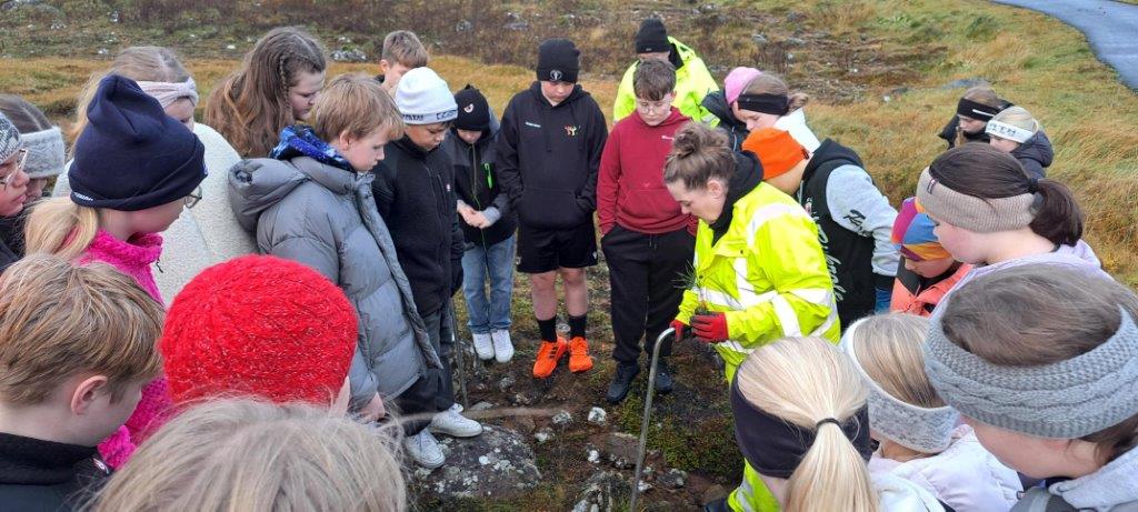 Gróðursetning við Kamb