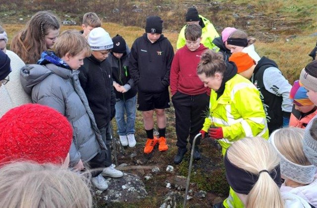 Gróðursetning við Kamb