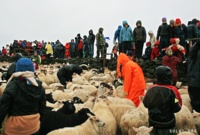 Gönguklúbbur Akurskóla