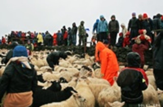 Gönguklúbbur Akurskóla