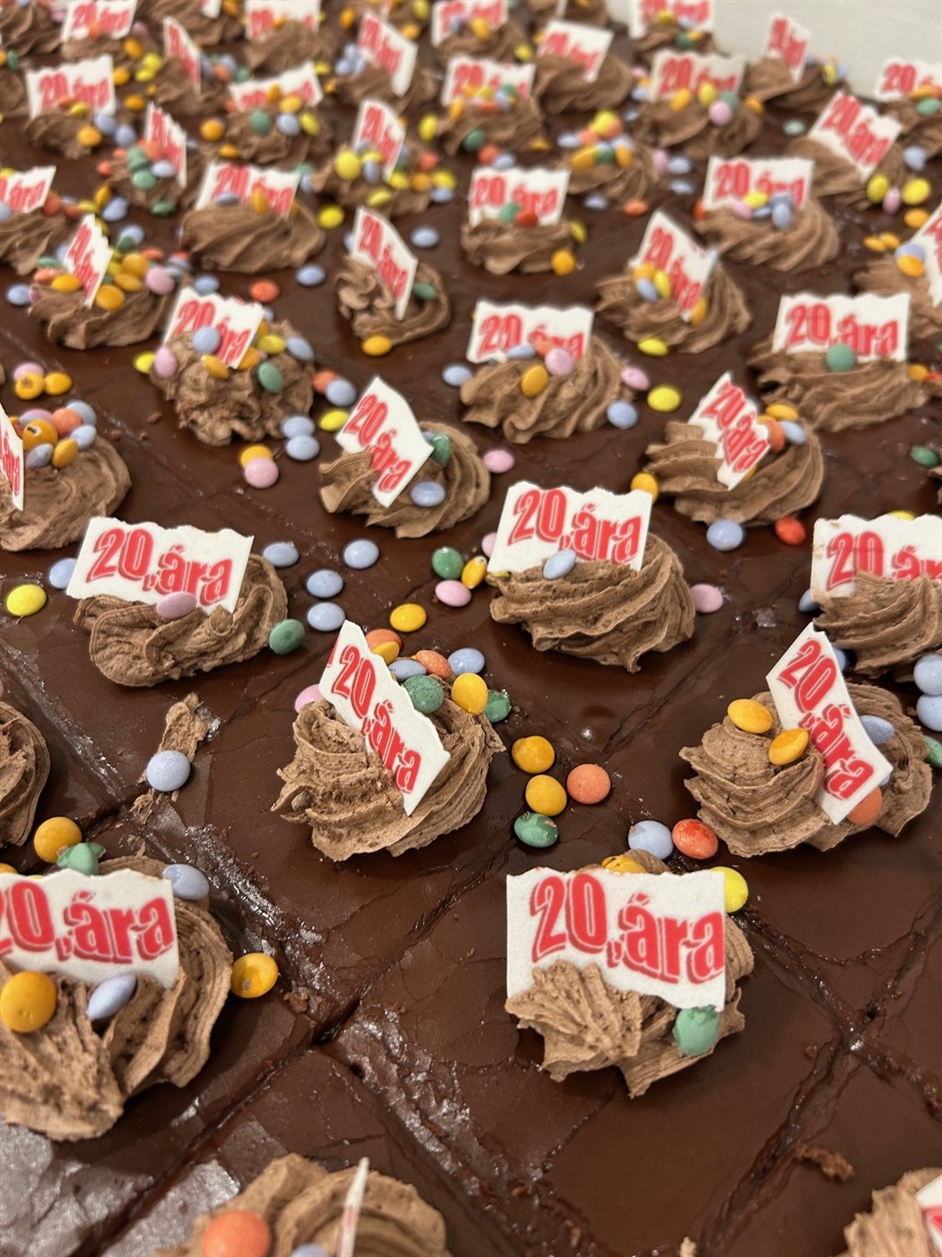 Akurskóli fagnar 20 ára afmæli