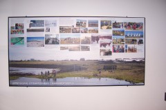 Afhjúpun listaverks