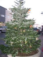 Skreyting á jólatré