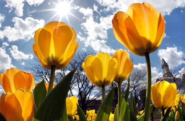 Næstu vikur - breyting á skóladagatali