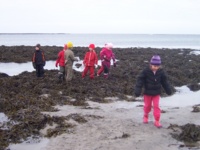 Þemasýning á mánudaginn kl. 12.30