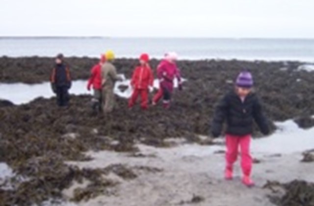 Þemasýning á mánudaginn kl. 12.30