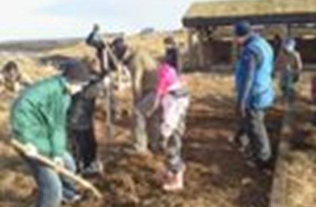 Fjölskyldudagur í Narfakotsseylu á laugardag.